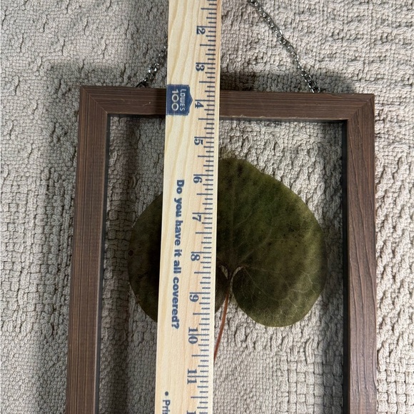 Pressed Leaf Glass Hanging Frames – Set of 2 – Rustic Brown Wood - Picture 4 of 5